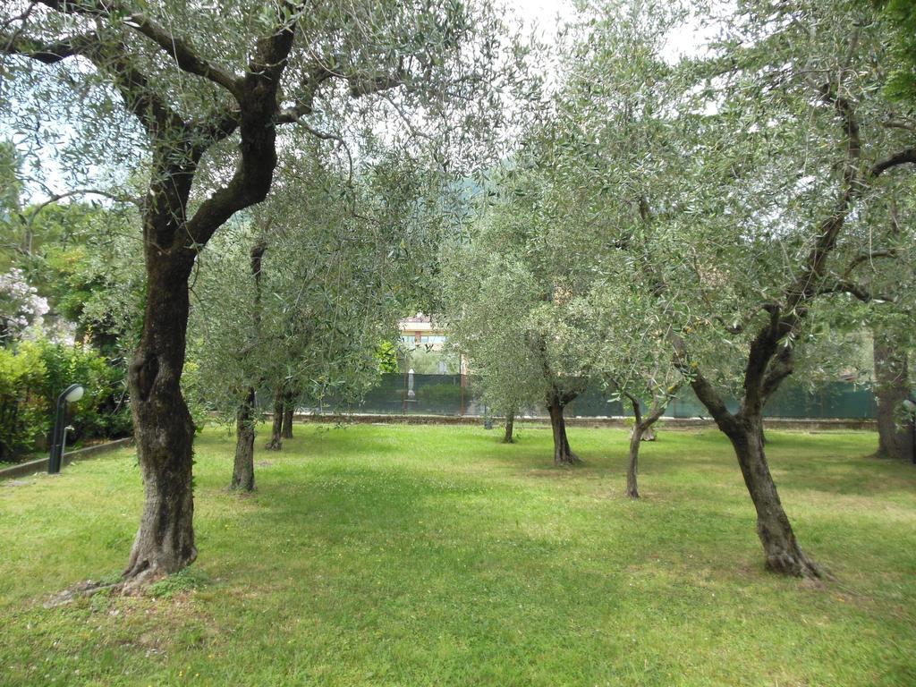 Residenza Hotel Garden توسكولانو ماديرنو المظهر الخارجي الصورة